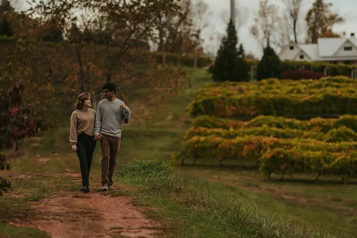 
 Amorpulse Review: Unveiling the Quest for Love
